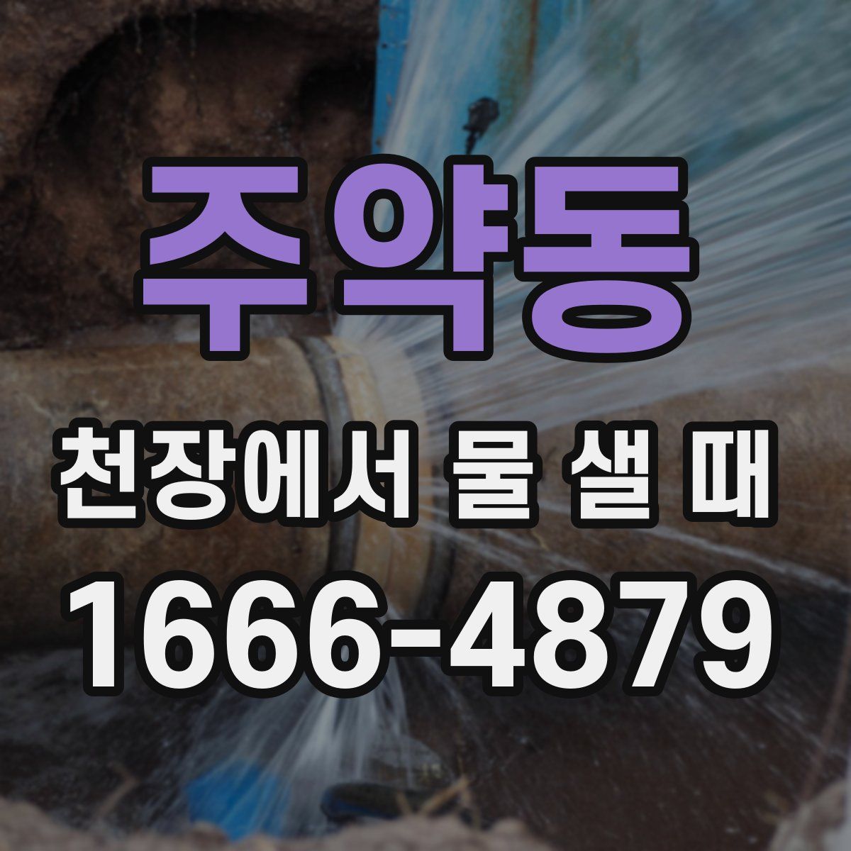 주약동 천장에서 물 샐 때
