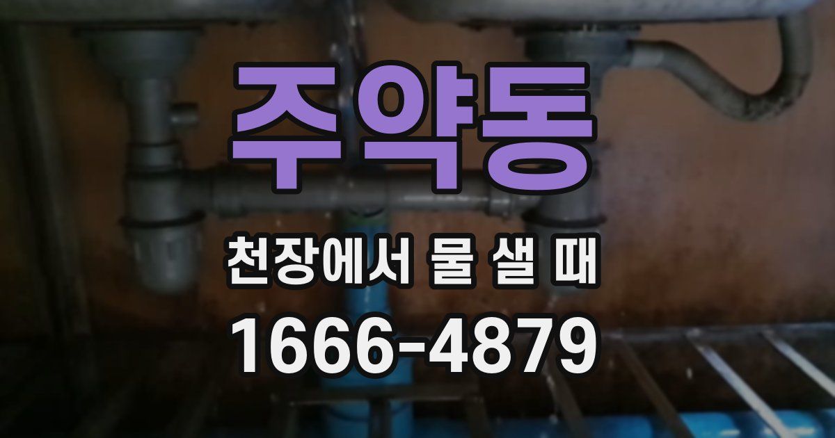 주약동 천장에서 물 샐 때