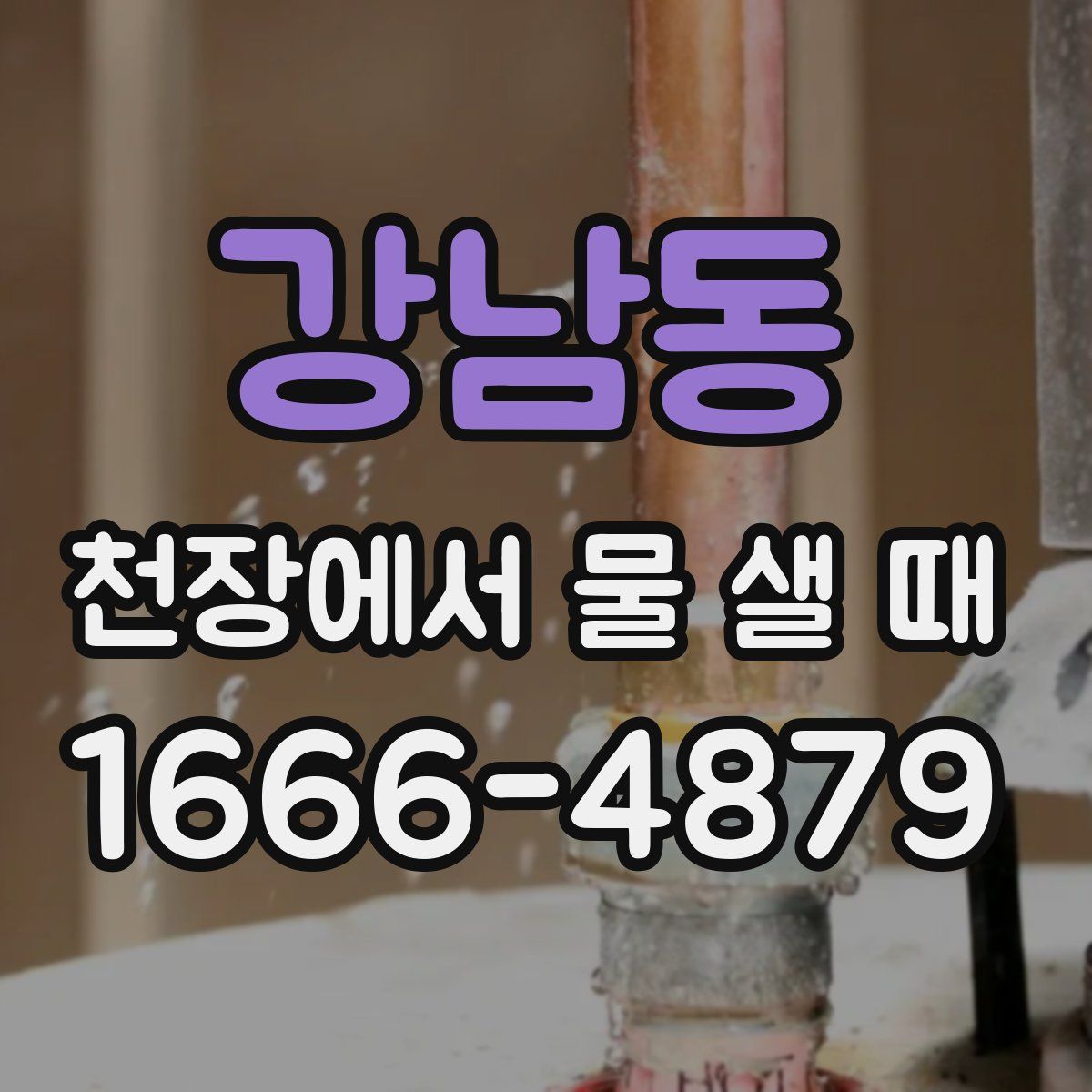 강남동 천장에서 물 샐 때