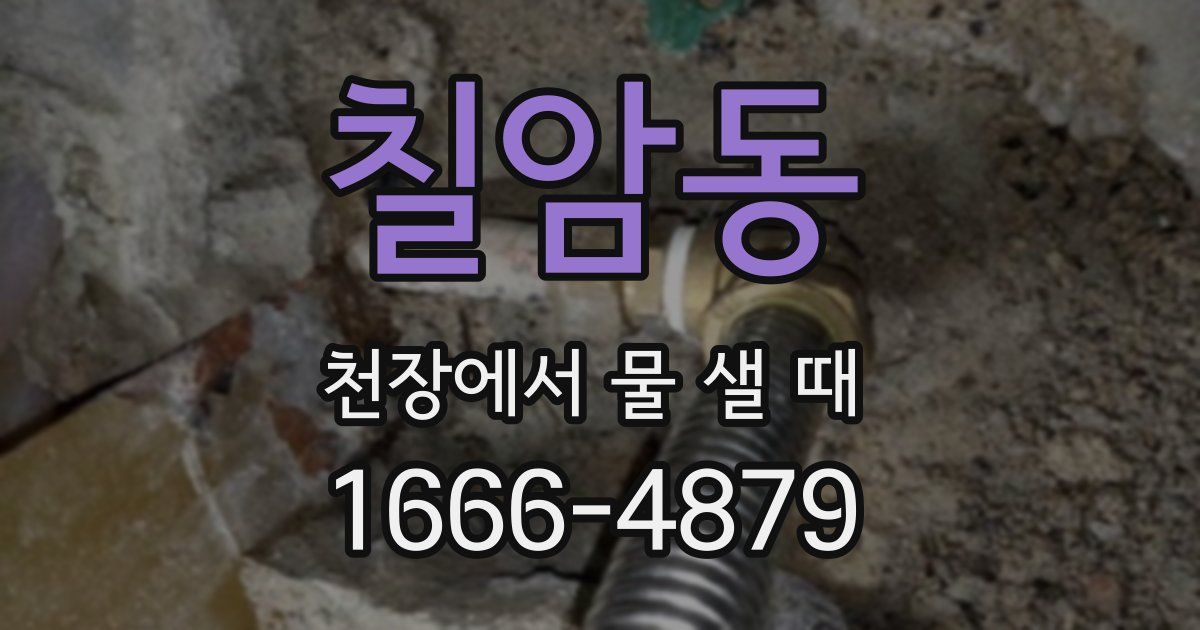칠암동 천장에서 물 샐 때