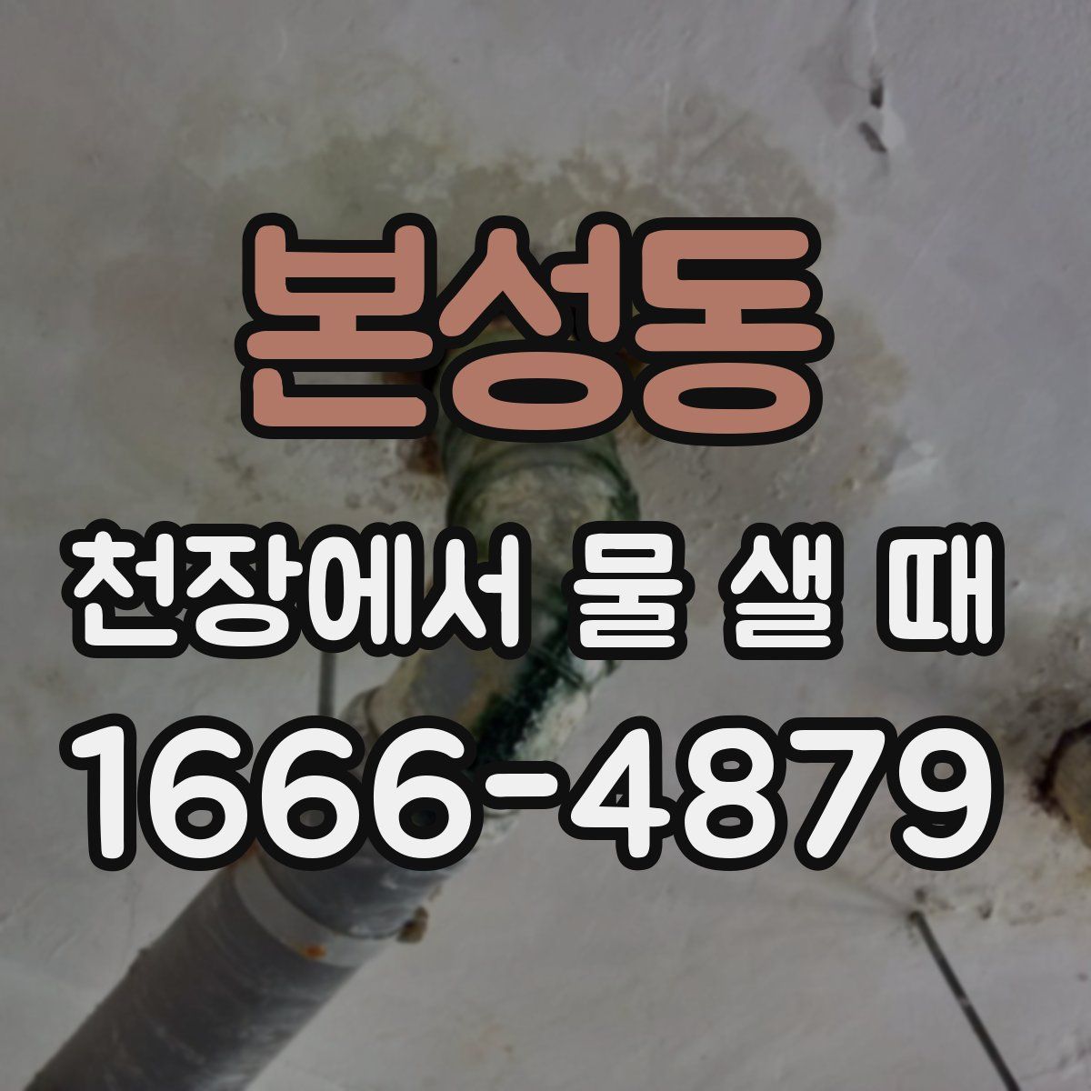 본성동 천장에서 물 샐 때