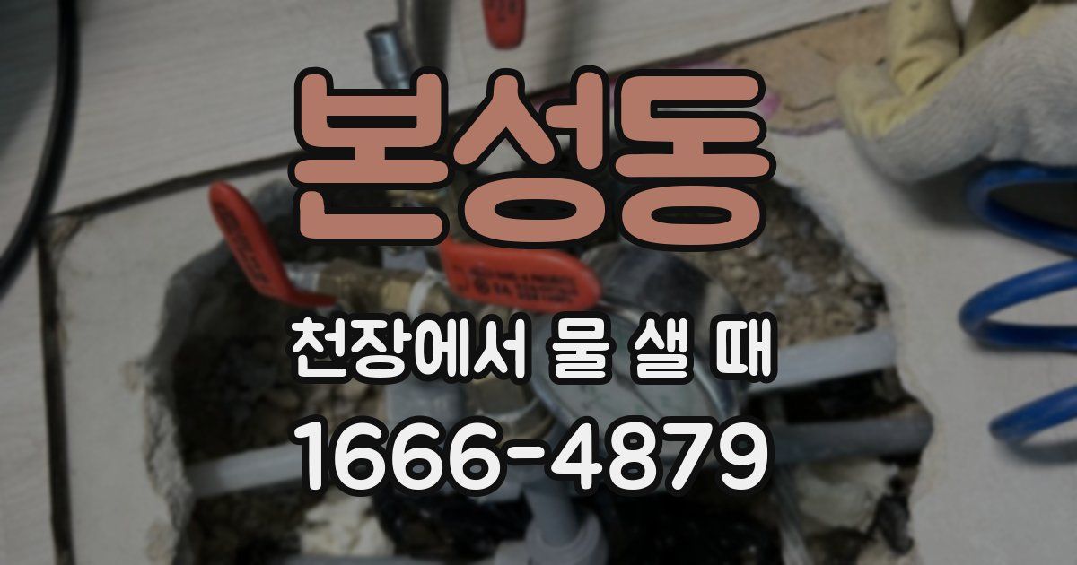 본성동 천장에서 물 샐 때