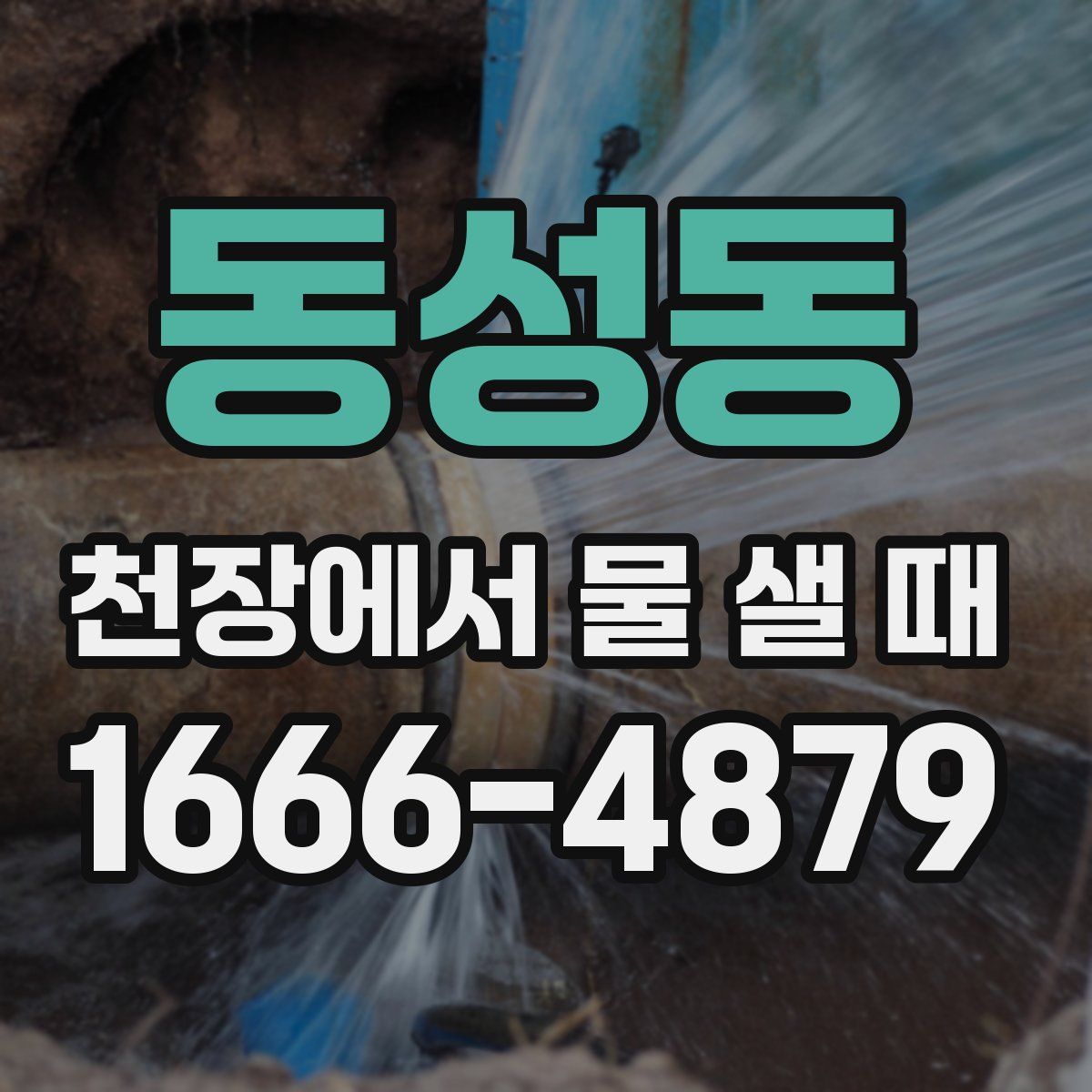 동성동 천장에서 물 샐 때