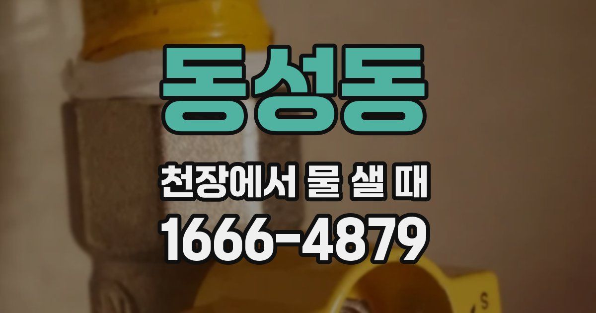 동성동 천장에서 물 샐 때