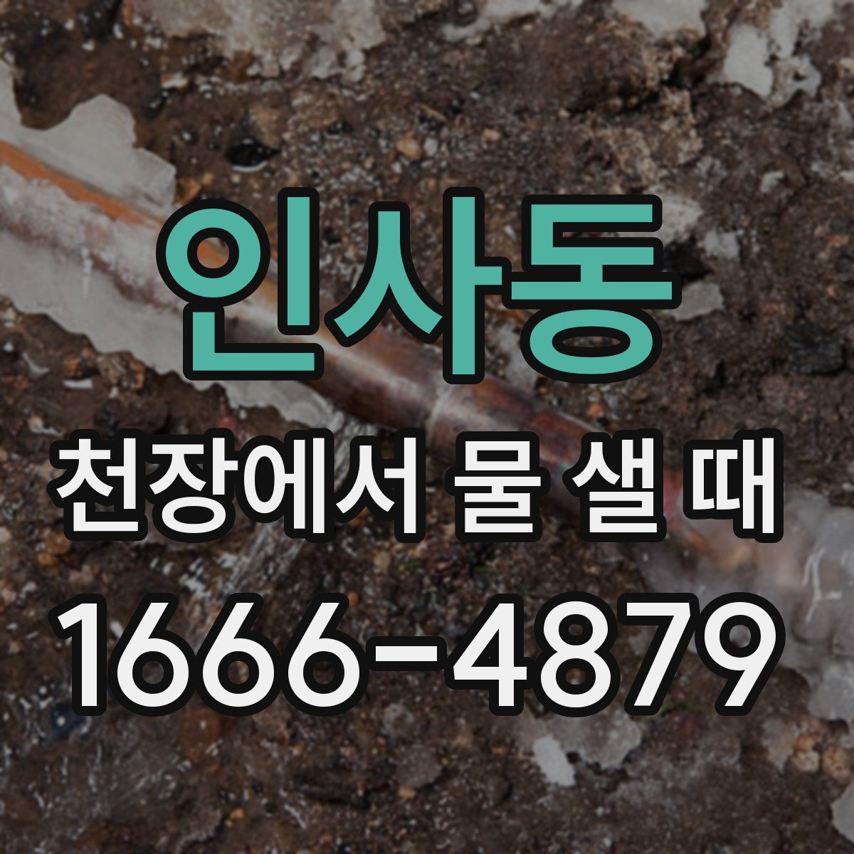 인사동 천장에서 물 샐 때