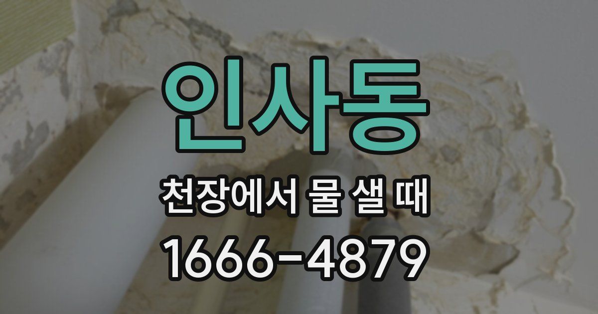 인사동 천장에서 물 샐 때
