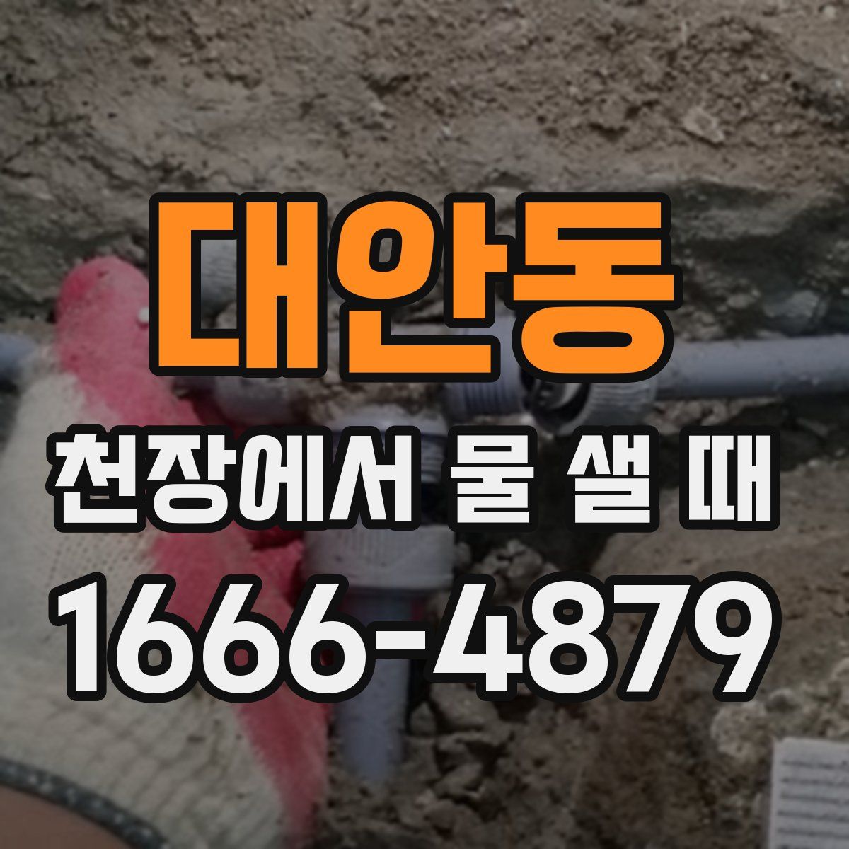 대안동 천장에서 물 샐 때