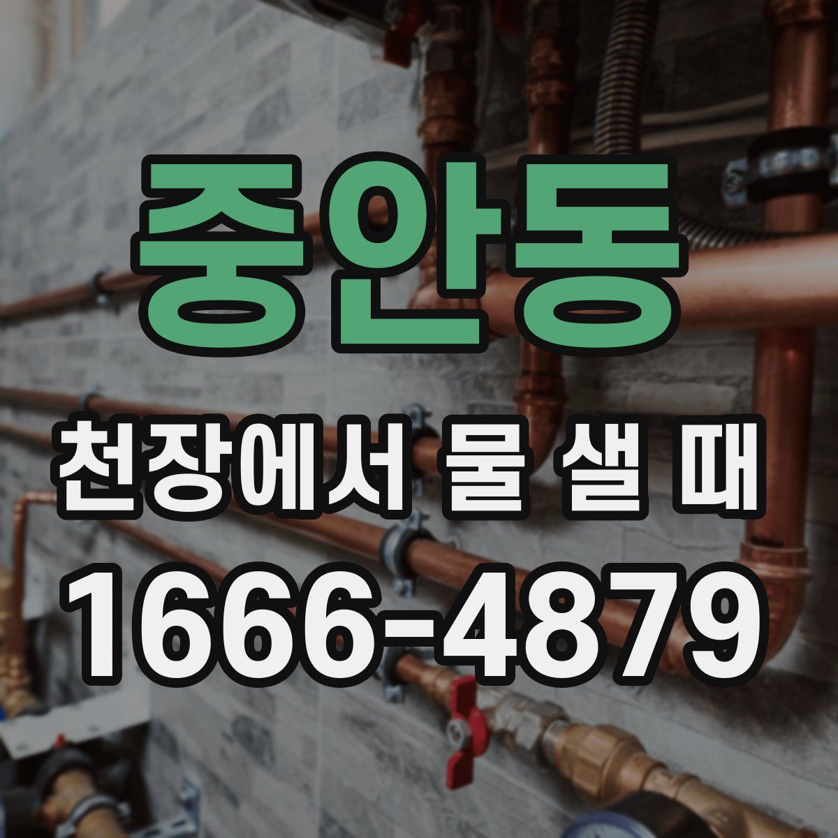 중안동 천장에서 물 샐 때