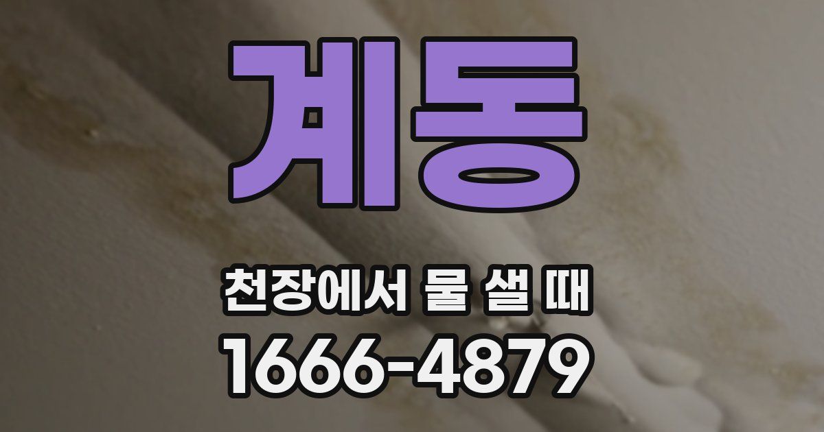 계동 천장에서 물 샐 때