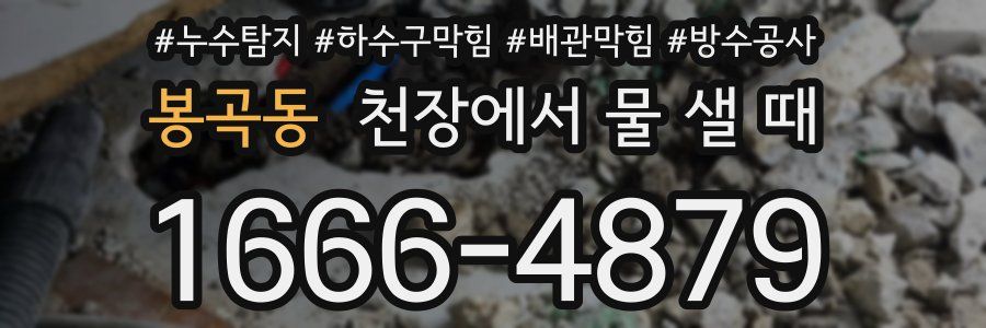 봉곡동 천장에서 물 샐 때