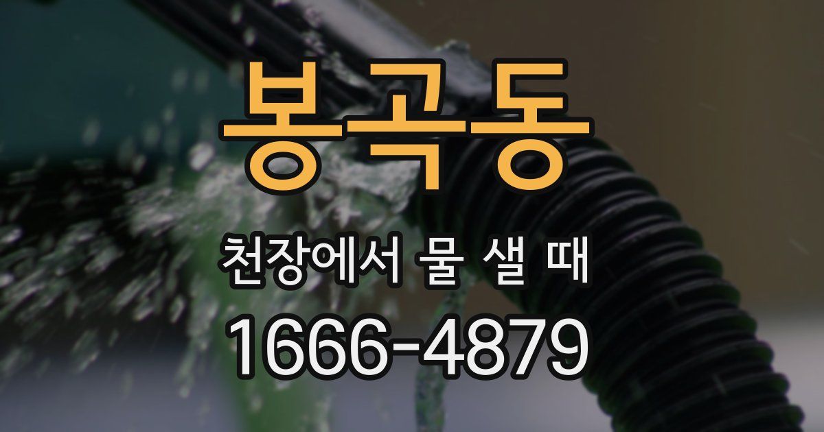 봉곡동 천장에서 물 샐 때
