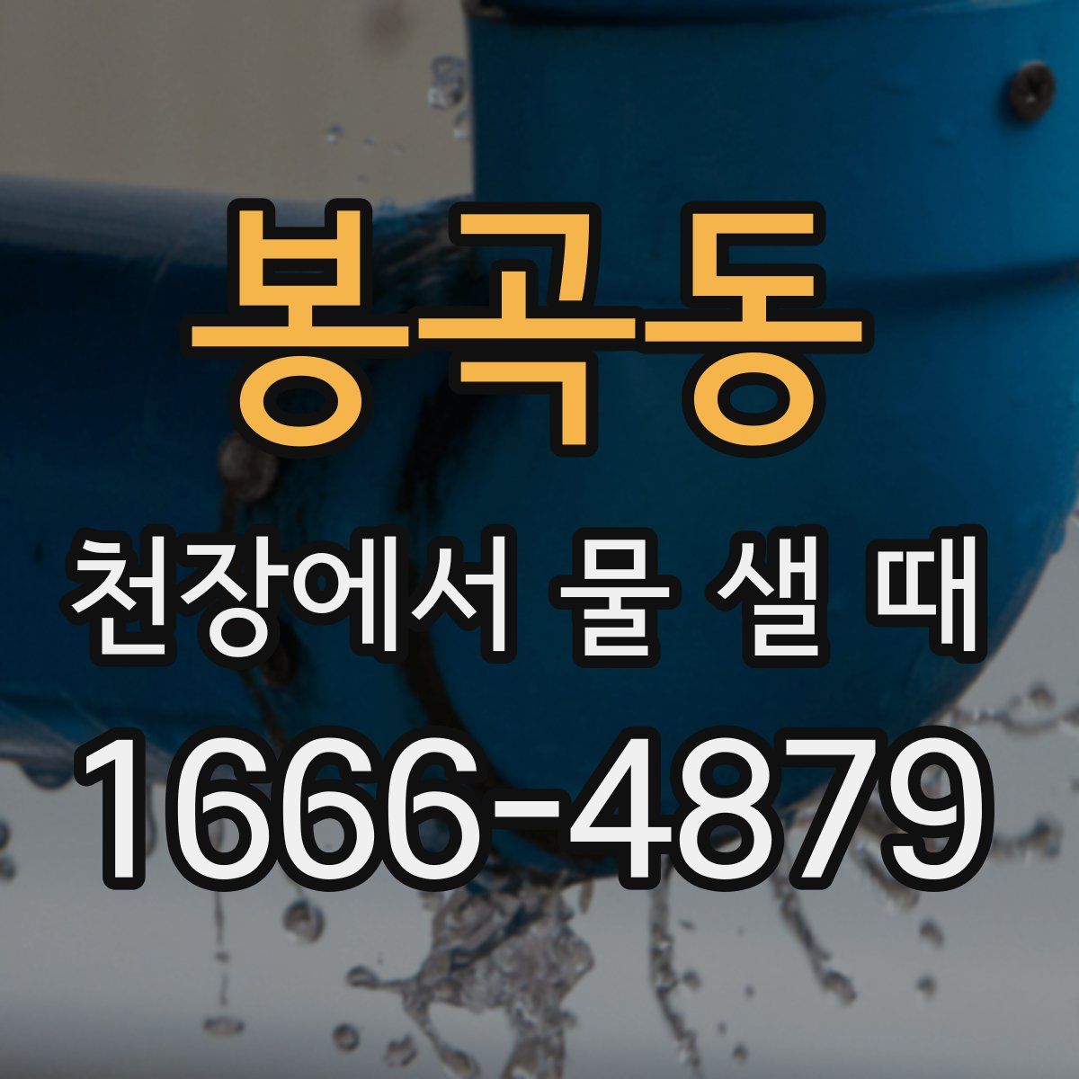 봉곡동 천장에서 물 샐 때