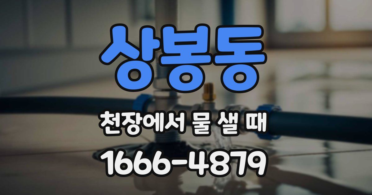 상봉동 천장에서 물 샐 때