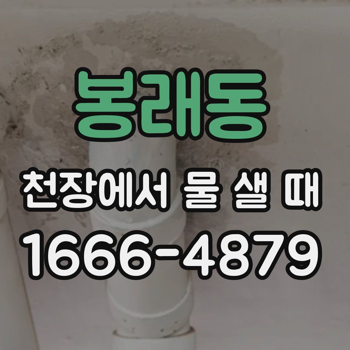 봉래동 천장에서 물 샐 때