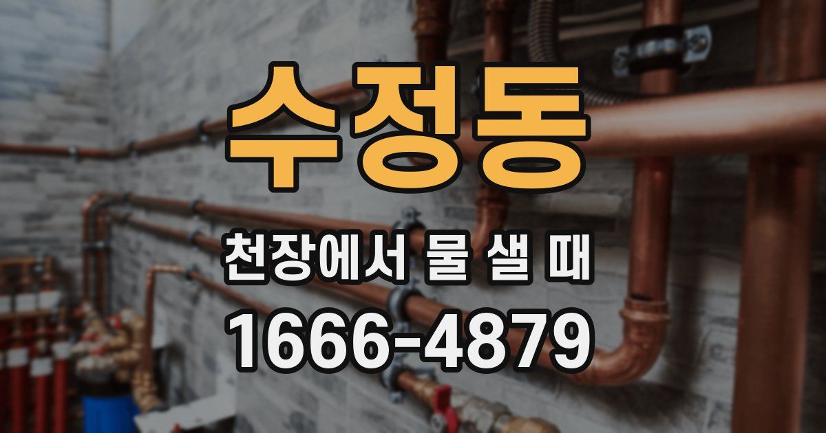수정동 천장에서 물 샐 때