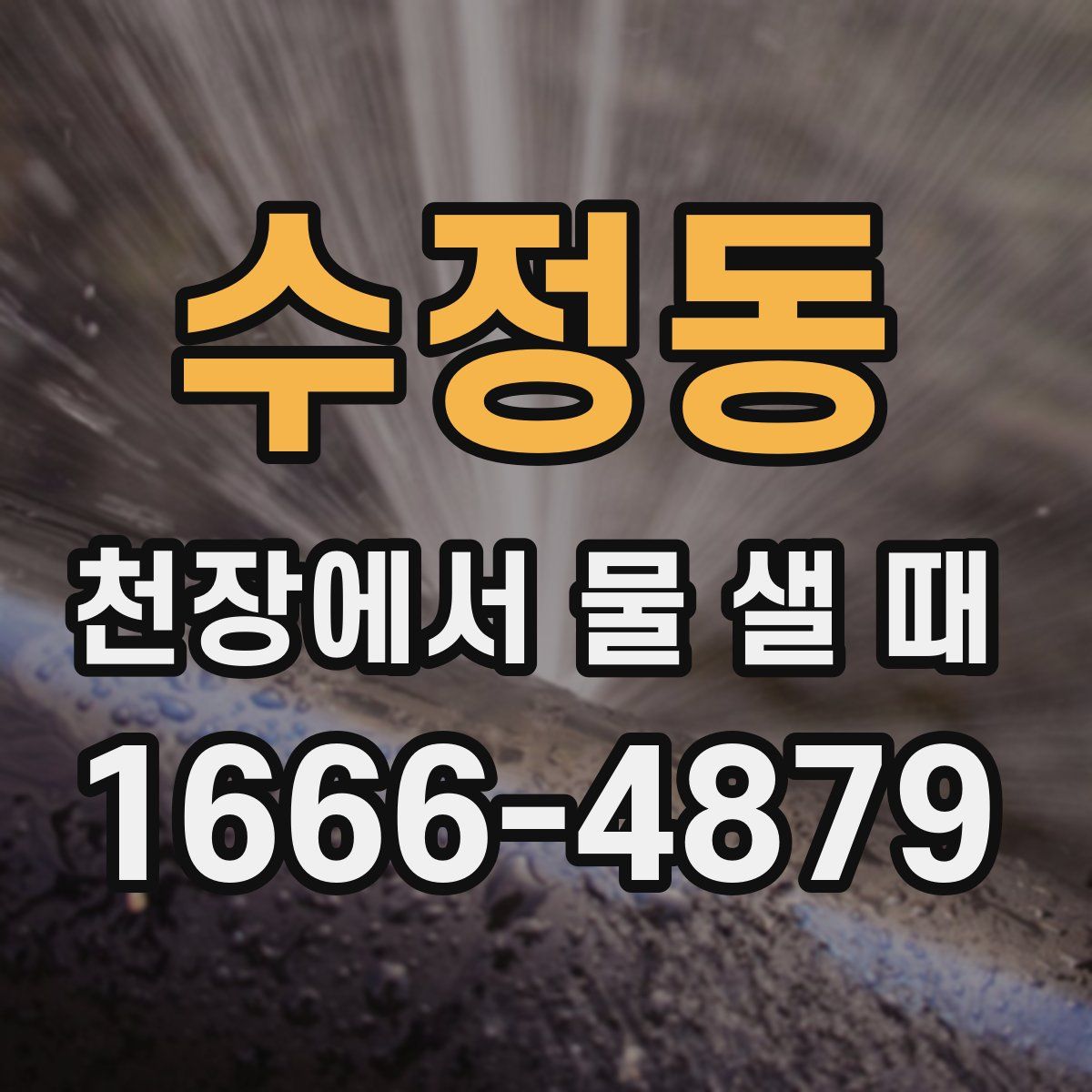 수정동 천장에서 물 샐 때