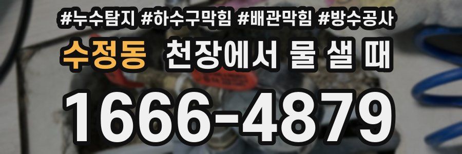 수정동 천장에서 물 샐 때