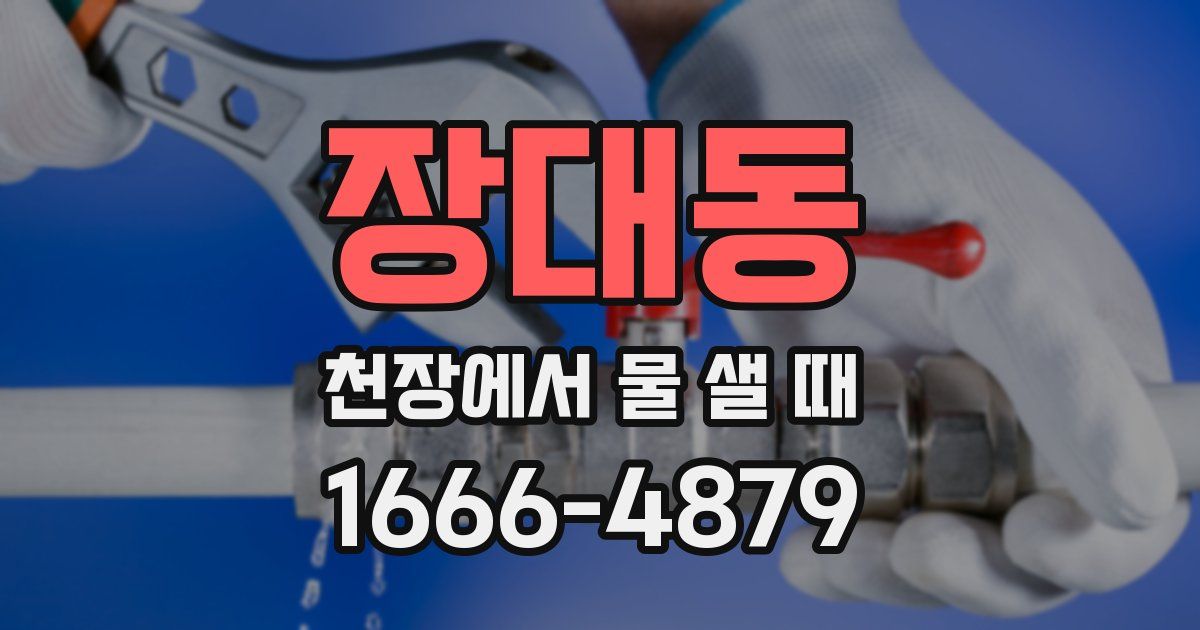 장대동 천장에서 물 샐 때