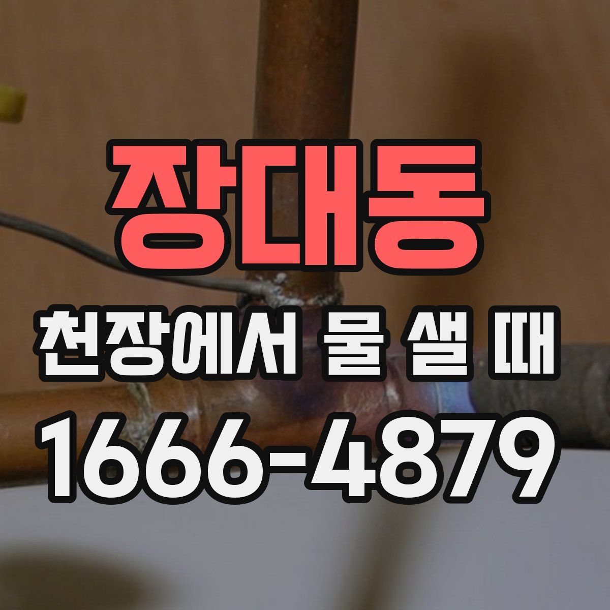 장대동 천장에서 물 샐 때