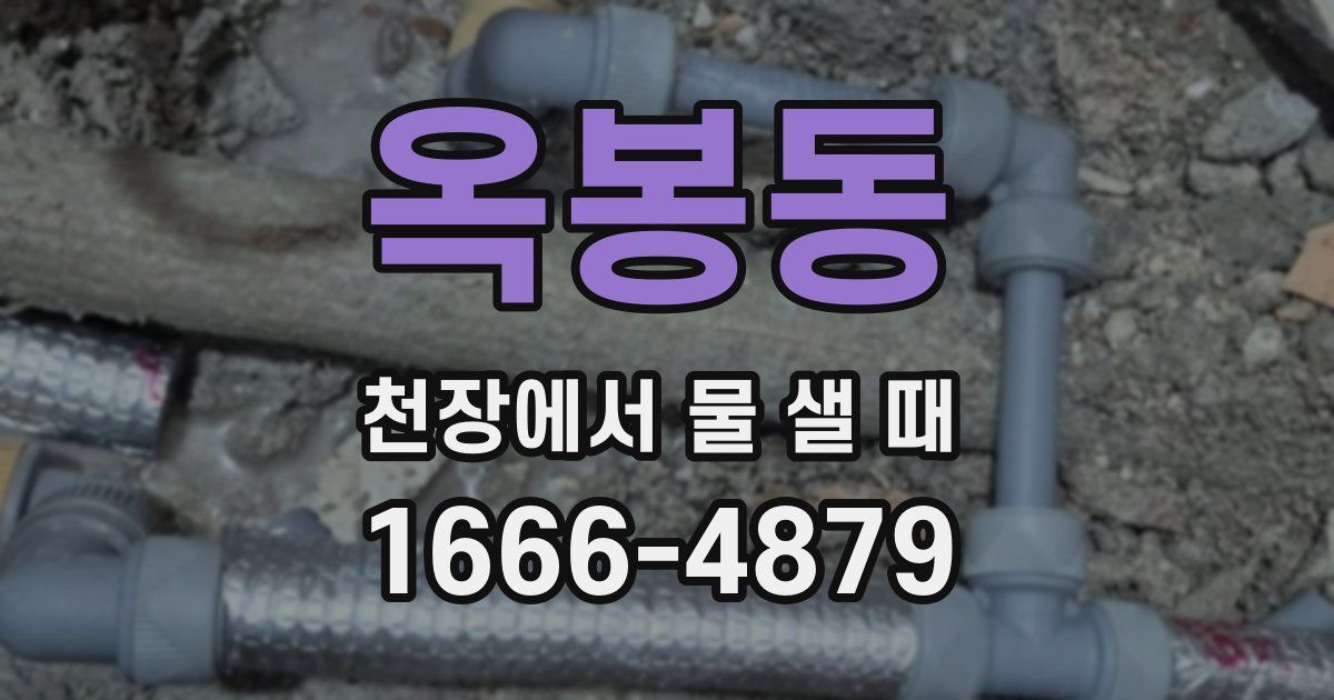 옥봉동 천장에서 물 샐 때