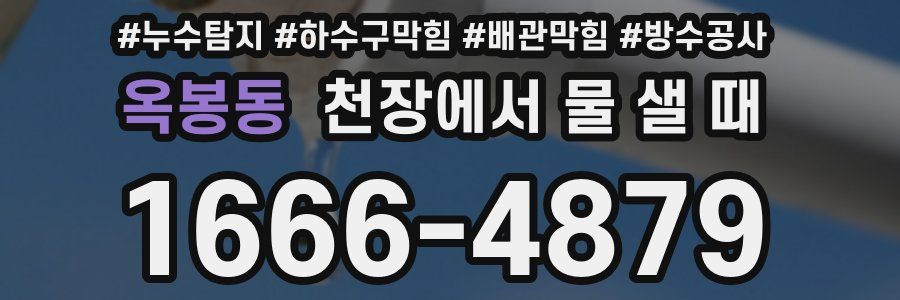 옥봉동 천장에서 물 샐 때