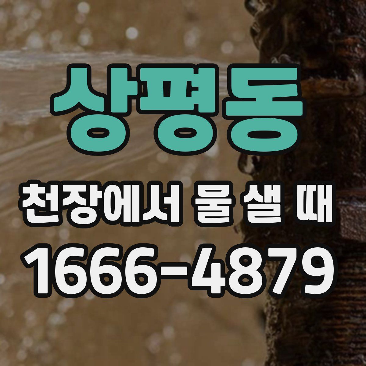 상평동 천장에서 물 샐 때