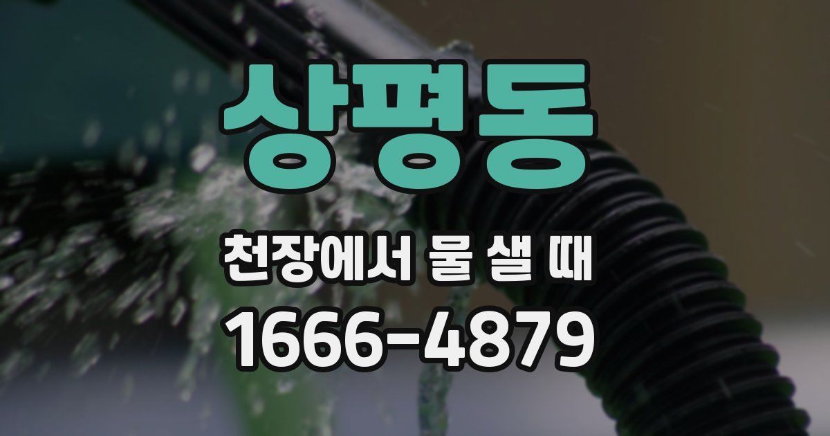 상평동 천장에서 물 샐 때