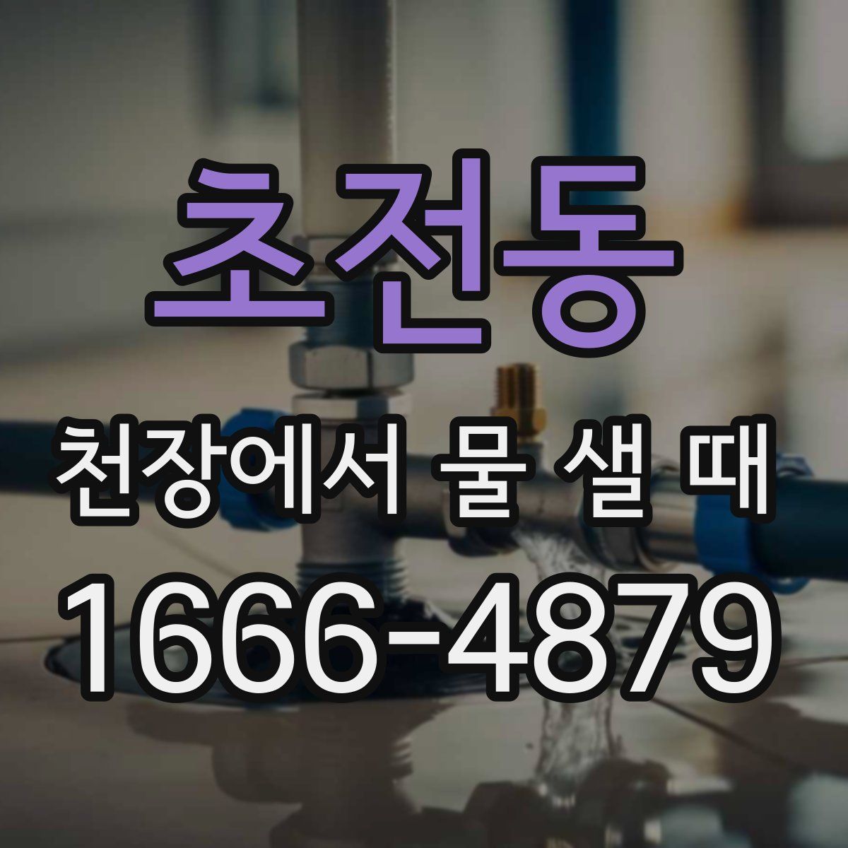 초전동 천장에서 물 샐 때