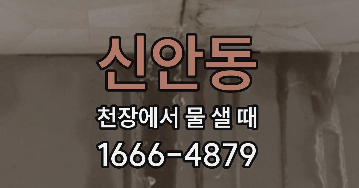 신안동 천장에서 물 샐 때