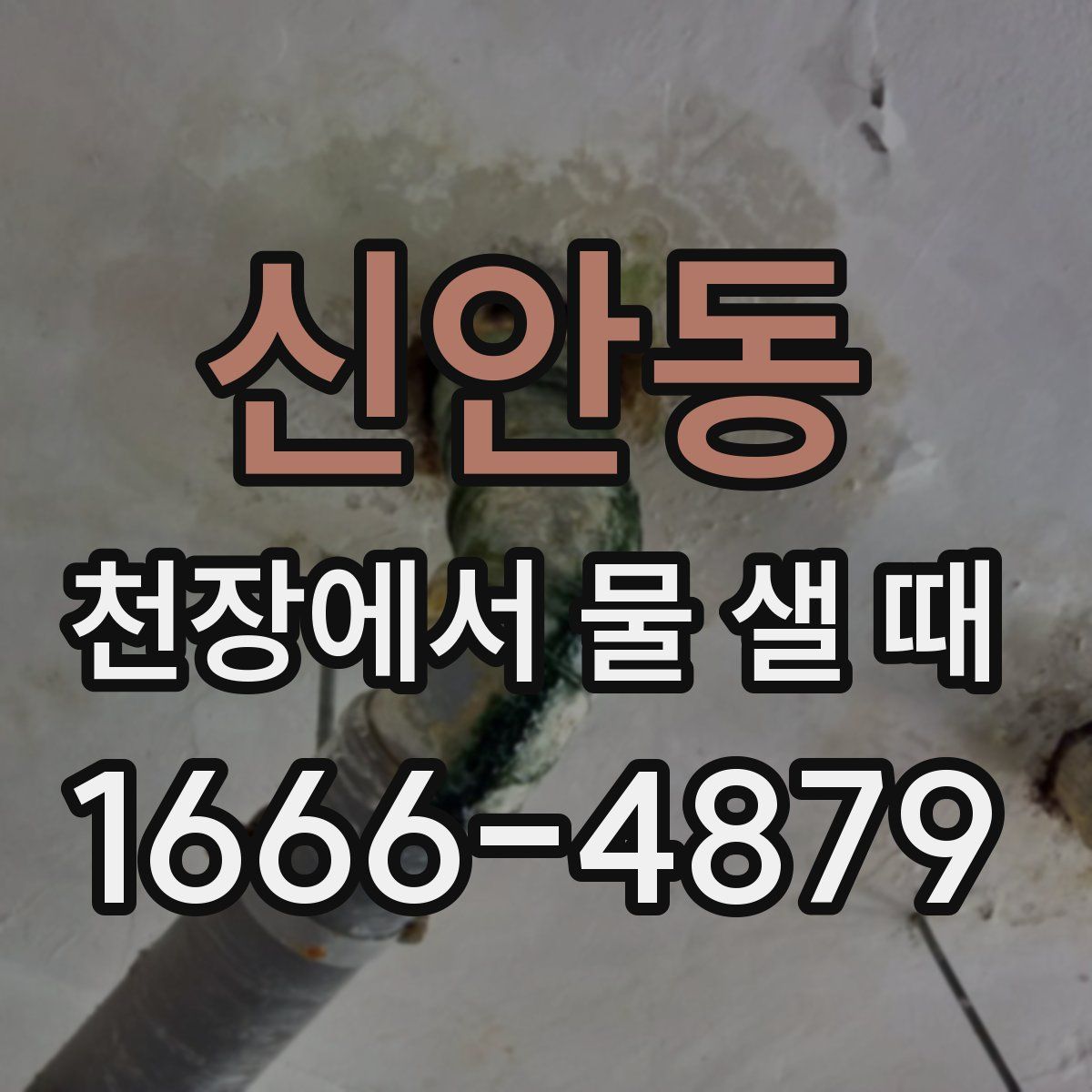신안동 천장에서 물 샐 때