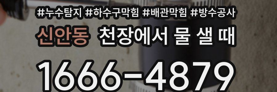 신안동 천장에서 물 샐 때