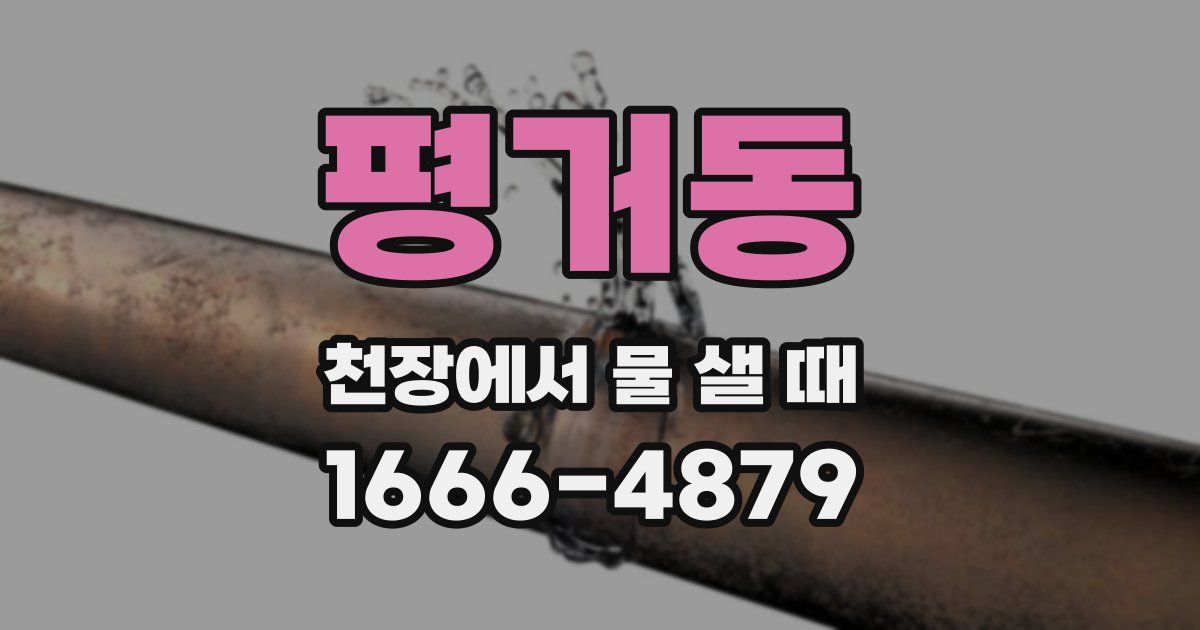 평거동 천장에서 물 샐 때
