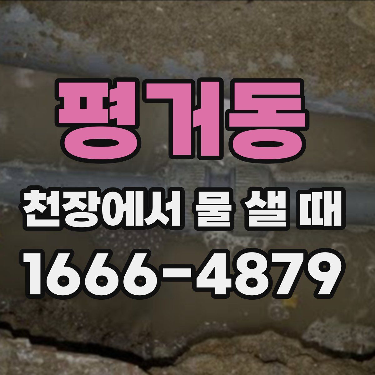 평거동 천장에서 물 샐 때