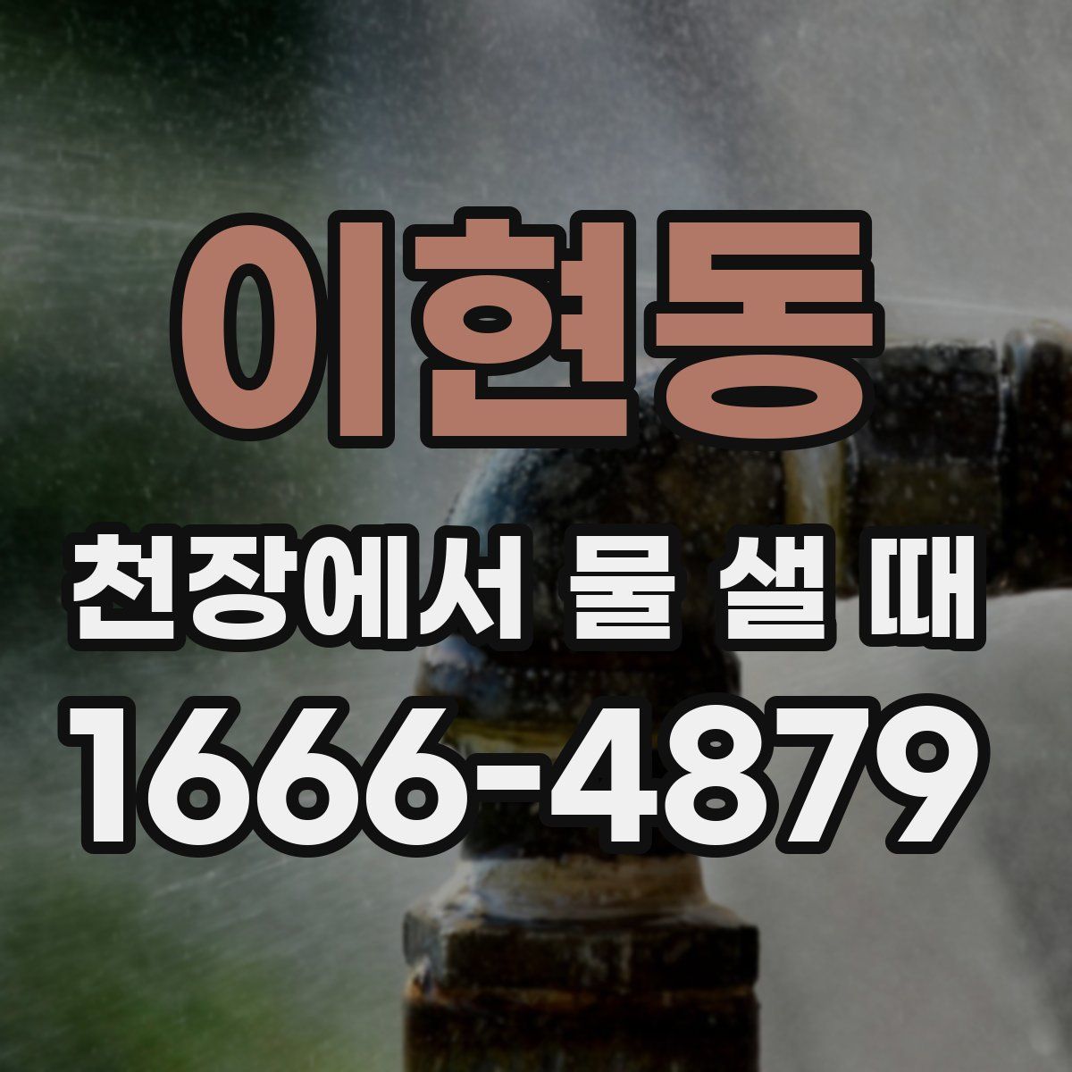 이현동 천장에서 물 샐 때