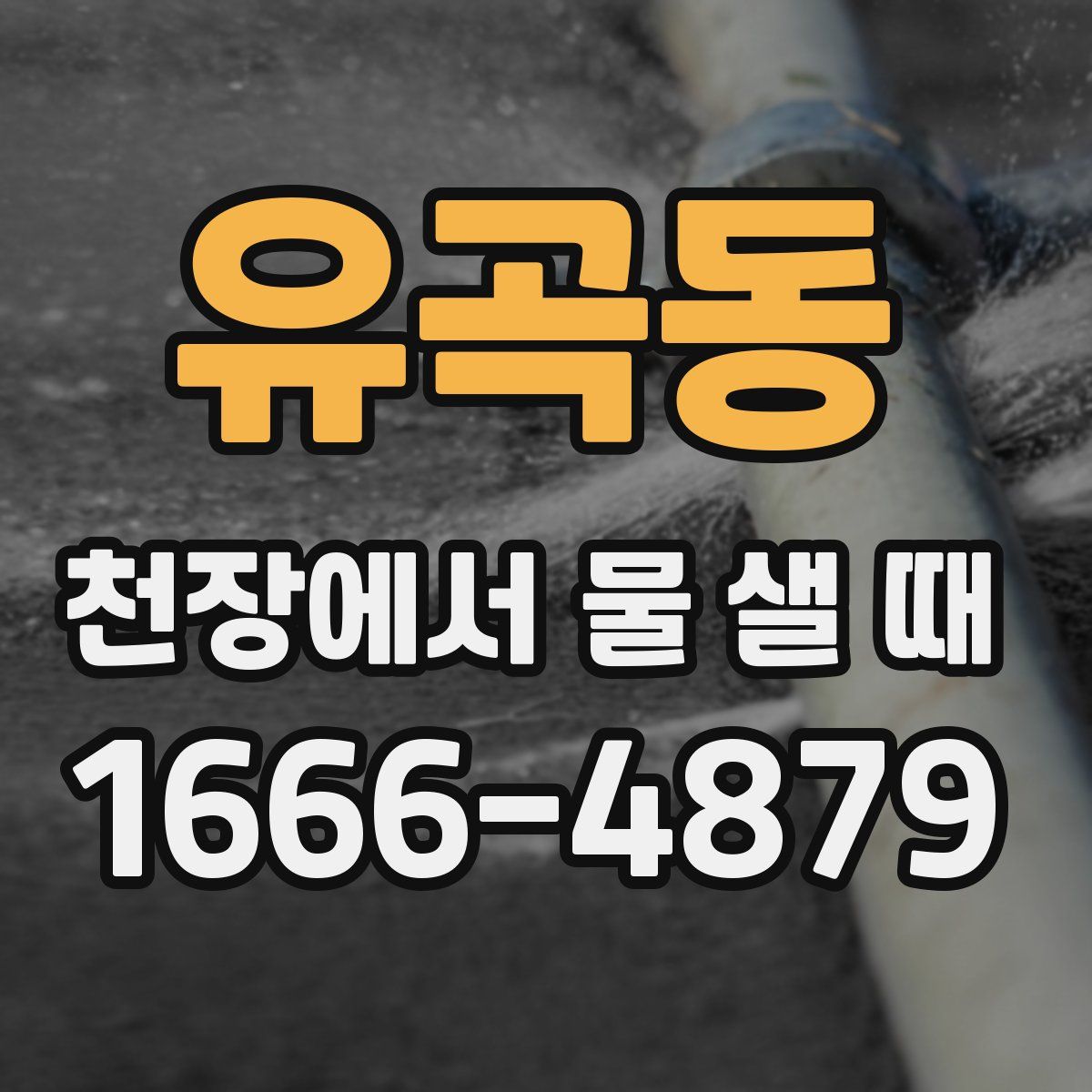 유곡동 천장에서 물 샐 때