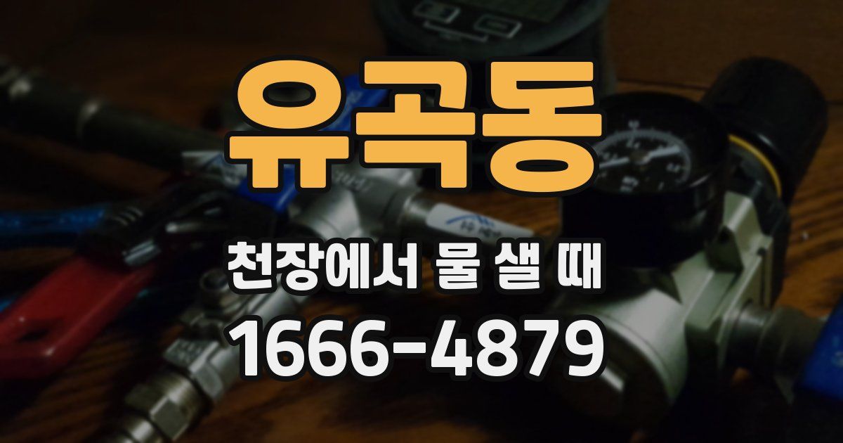 유곡동 천장에서 물 샐 때