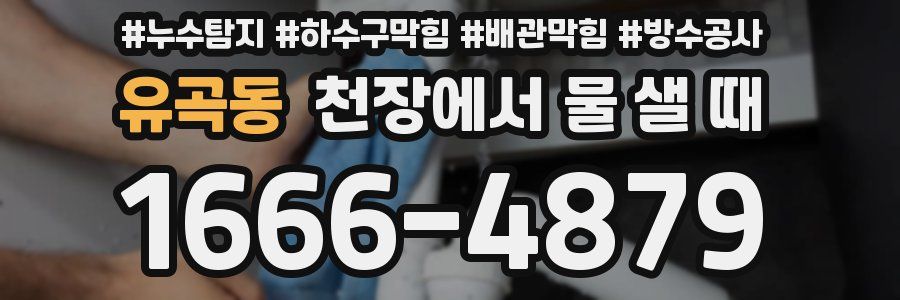 유곡동 천장에서 물 샐 때