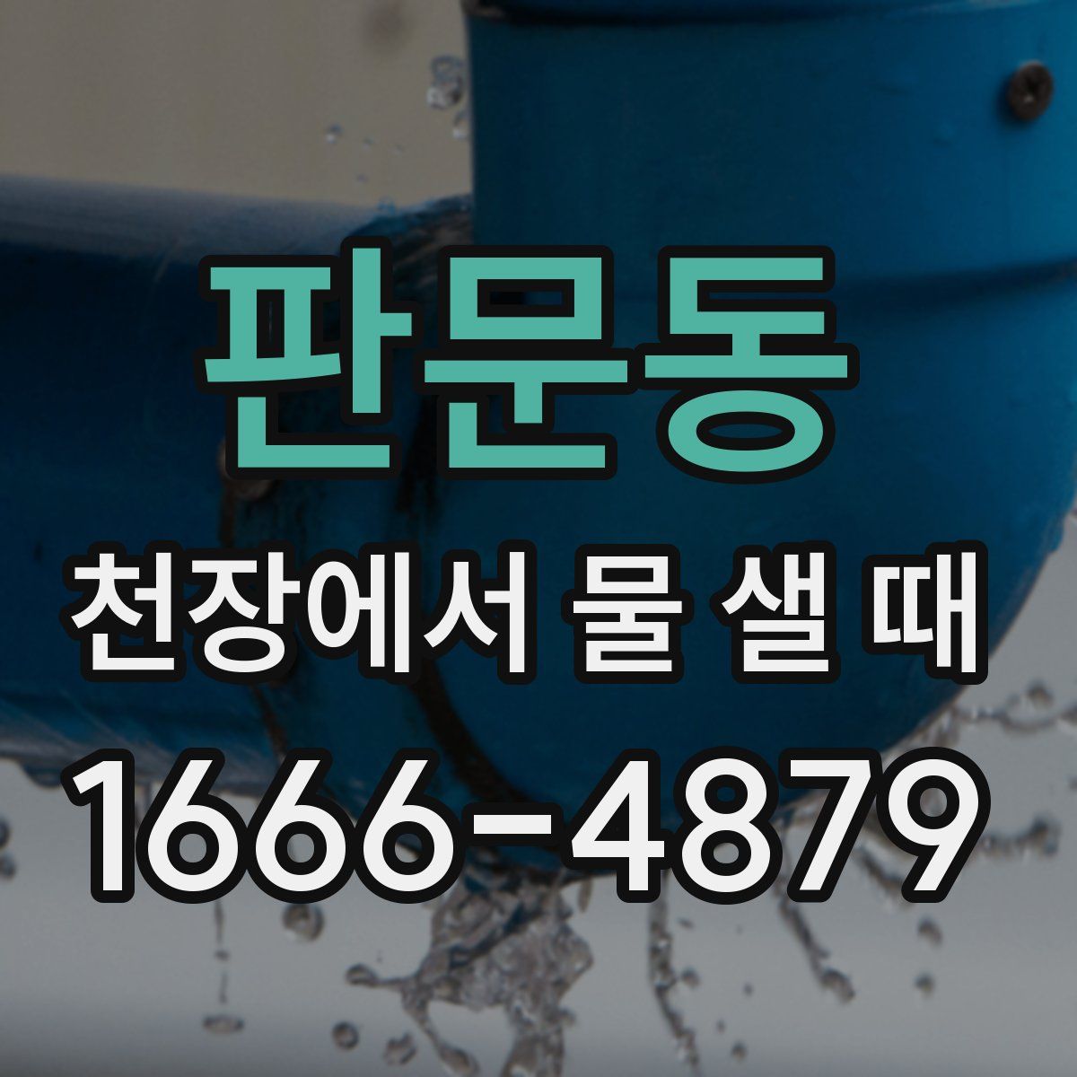 판문동 천장에서 물 샐 때