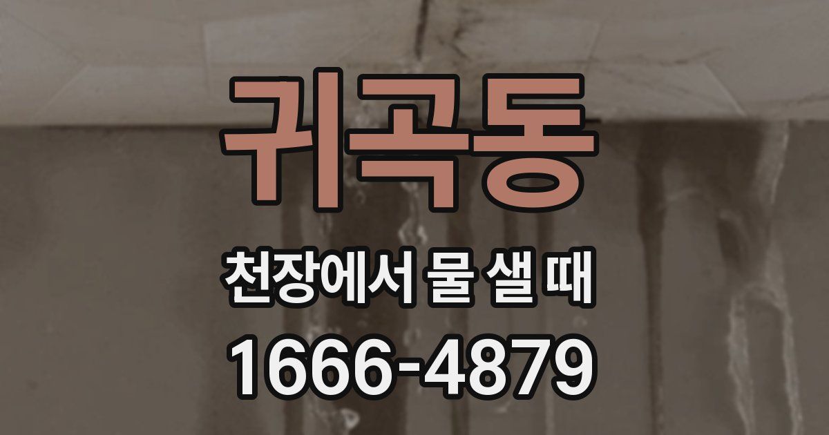 귀곡동 천장에서 물 샐 때