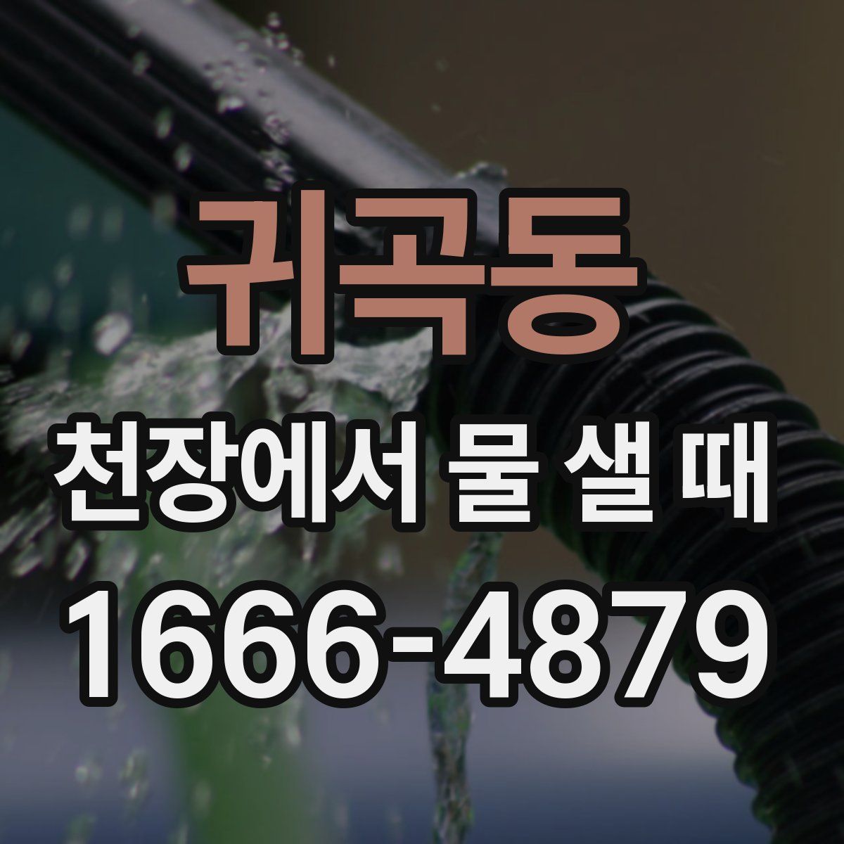 귀곡동 천장에서 물 샐 때