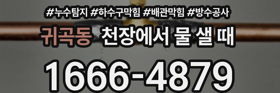 귀곡동 천장에서 물 샐 때