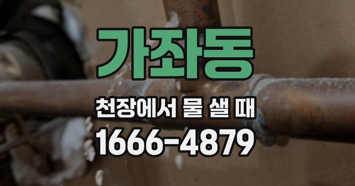 가좌동 천장에서 물 샐 때