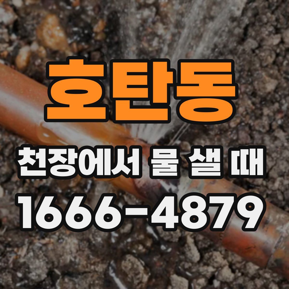 호탄동 천장에서 물 샐 때