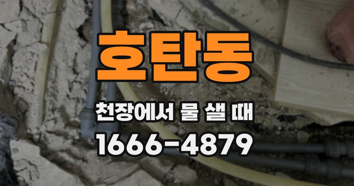 호탄동 천장에서 물 샐 때