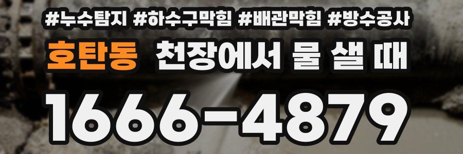 호탄동 천장에서 물 샐 때