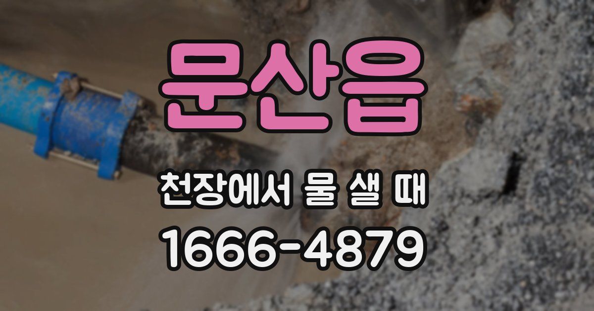 문산읍 천장에서 물 샐 때