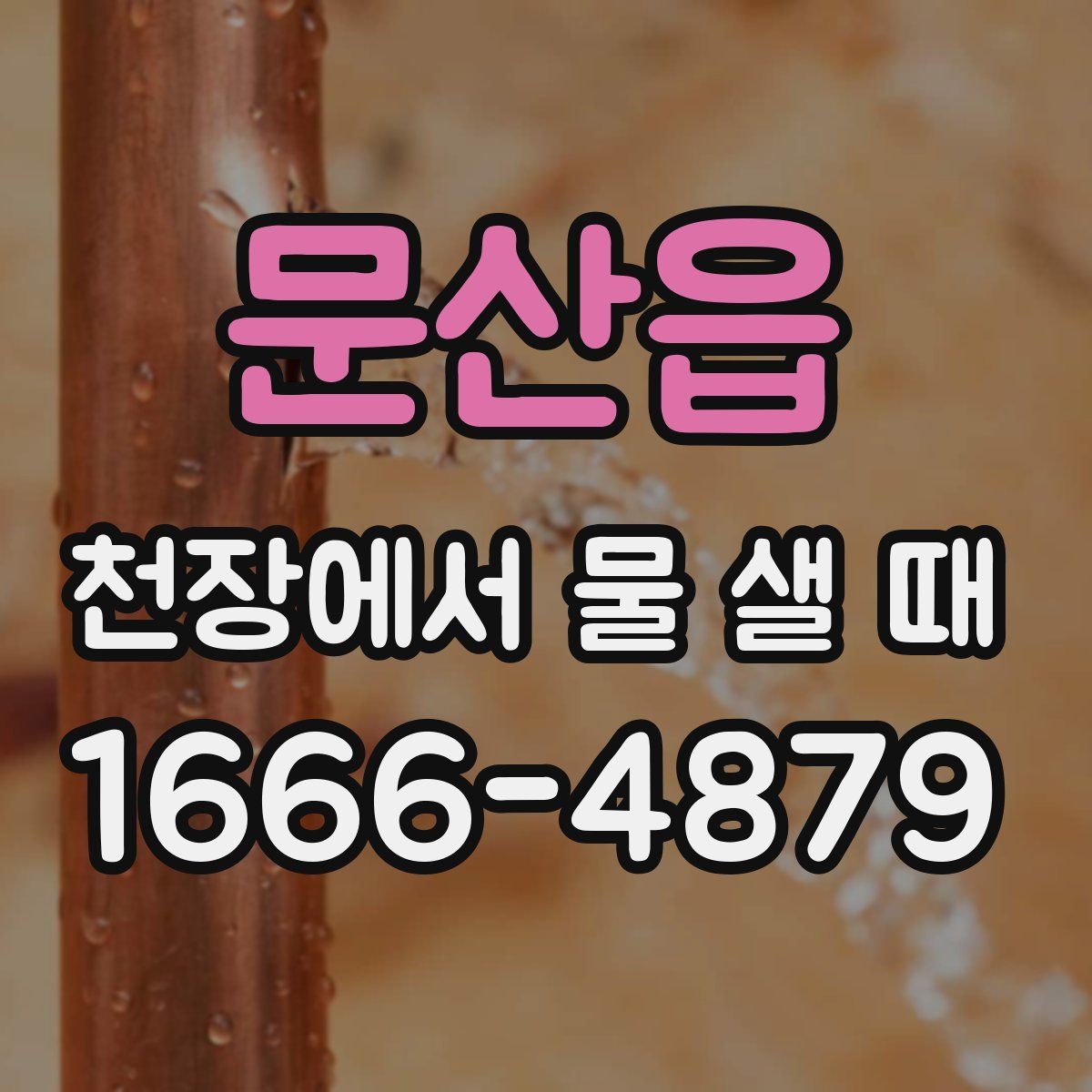 문산읍 천장에서 물 샐 때