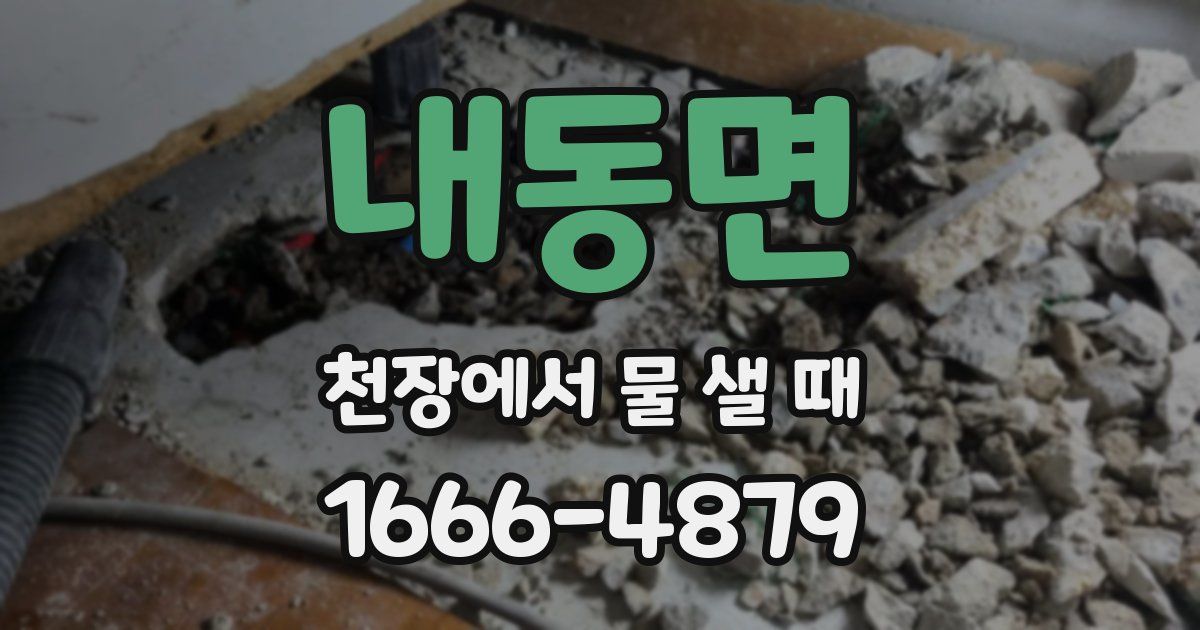 내동면 천장에서 물 샐 때
