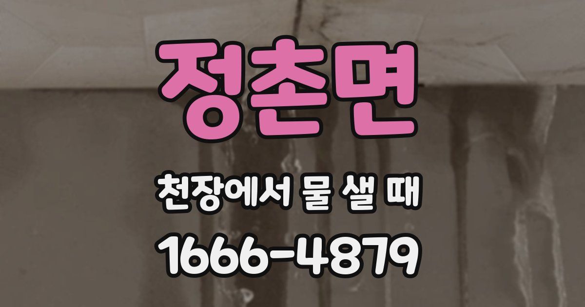 정촌면 천장에서 물 샐 때