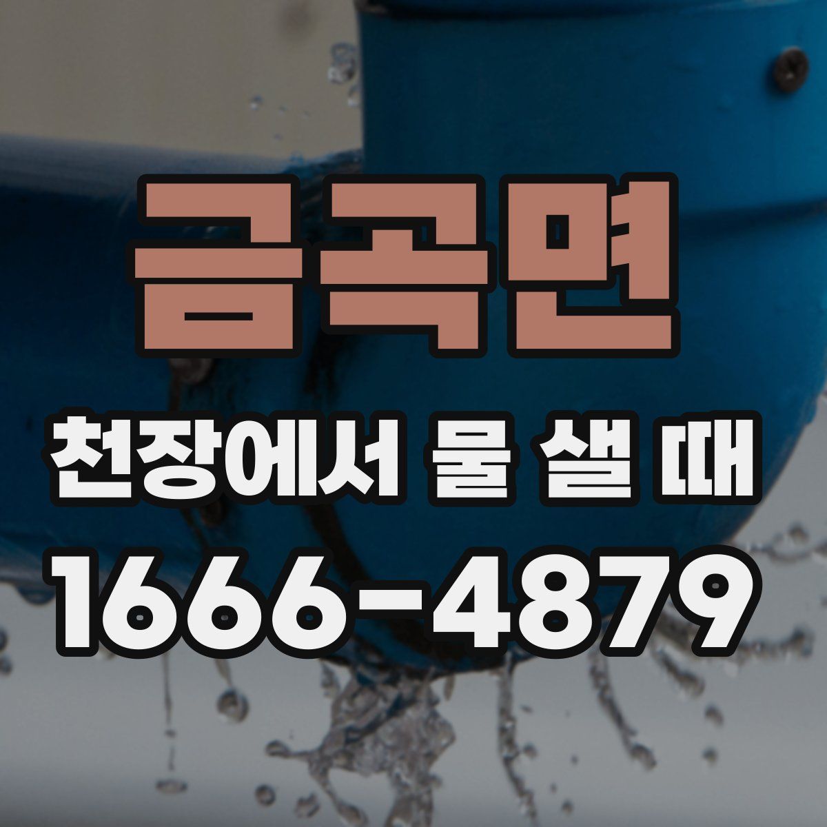 금곡면 천장에서 물 샐 때